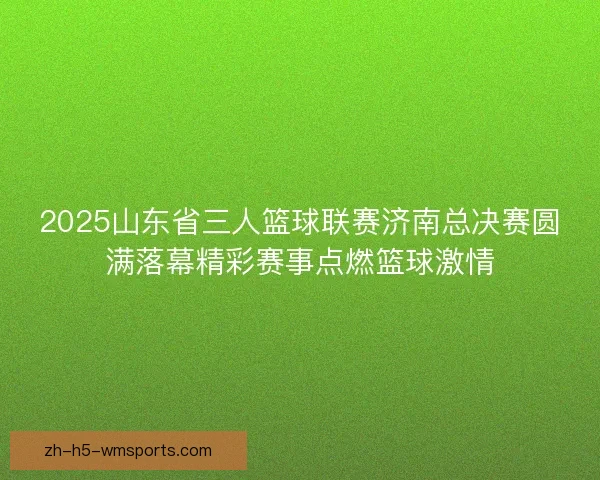 2025山东省三人篮球联赛济南总决赛圆满落幕精彩赛事点燃篮球激情